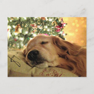 Golden Retriever slaapt met kerstboom Feestdagenkaart
