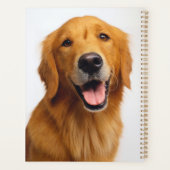 Golden Retriever Smile (Dos)