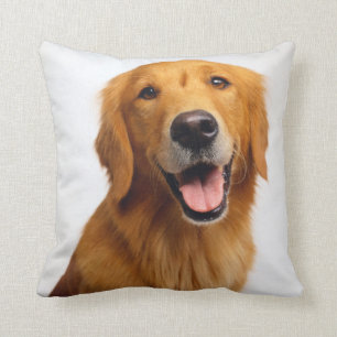 Golden Retriever Smile Kussen