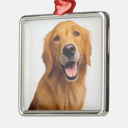 Golden Retriever Smile Metalen Ornament (Links)