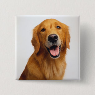 Golden Retriever Smile Vierkante Button 5,1 Cm