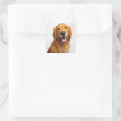 Golden Retriever Smile Vierkante Sticker (Tas)