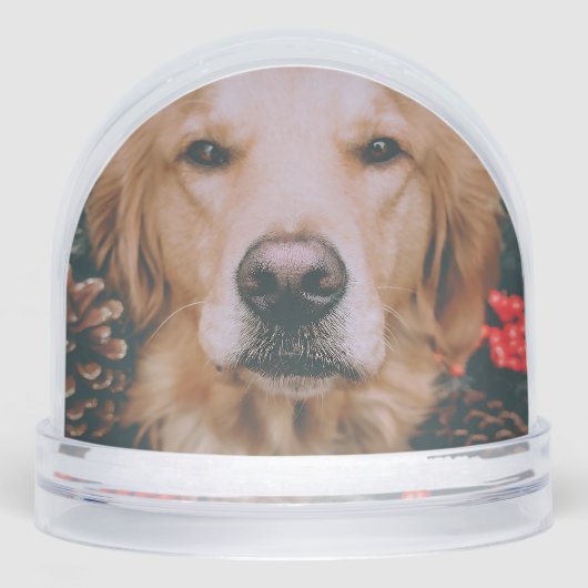 Golden Retriever Snow Globe Doigt Snow Globe (Avant)