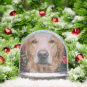 Golden Retriever Snow Globe Doigt Snow Globe (Noël)