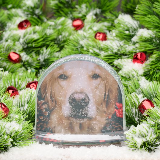 Golden Retriever Snow Globe Doigt Snow Globe (Noël)