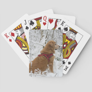 Golden Retriever speelkaarten