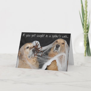 Golden Retriever Spider Web Halloween Feestdagen Kaart