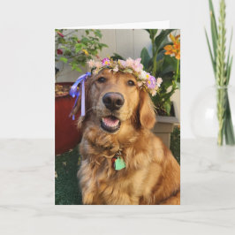 Golden Retriever spring or everyday card Kaart