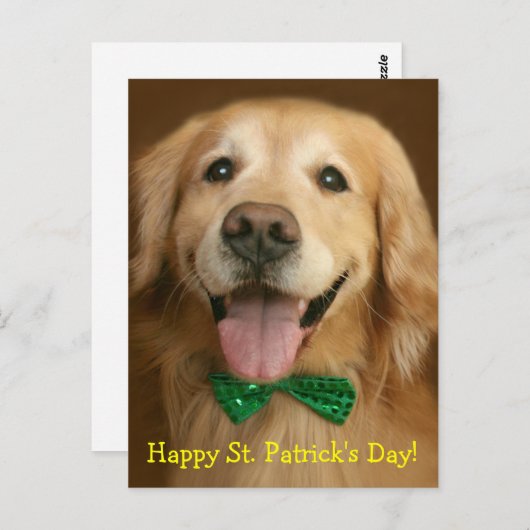 Golden Retriever St. Patrick's Day Briefkaart (Voorkant / Achterkant)