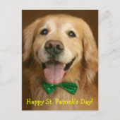 Golden Retriever St. Patrick's Day Briefkaart (Voorkant)