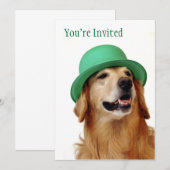 Golden Retriever St. Patrick's Day Kaart (Voorkant / Achterkant)