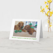 Golden Retriever St. Patrick's Day Kaart (Gele Bloem)