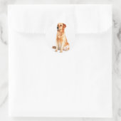 Golden Retriever Sticker (Tas)