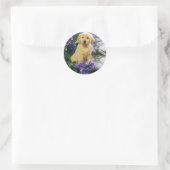 Golden Retriever Sticker Hydrangia (Tas)