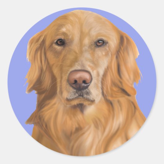 Golden retriever stickers (Voorkant)