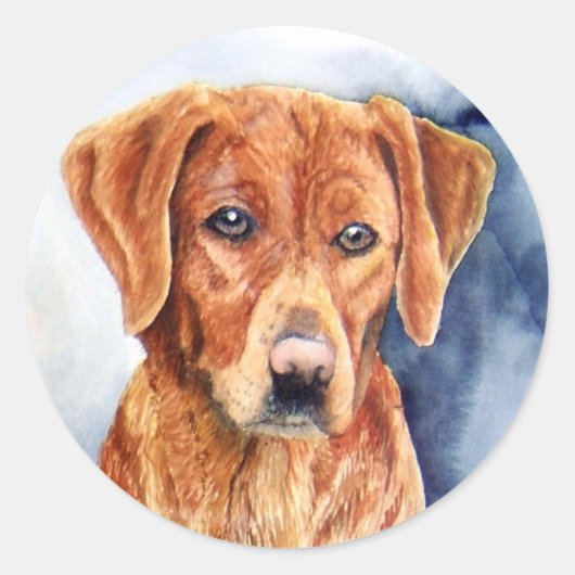 Golden Retriever Stickers (Voorkant)