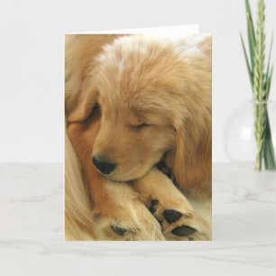 Golden Retriever Sweet Puppy Carte de la fête des 