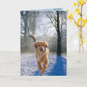 Golden Retriever-sympathiekaart Kaart (Gele Bloem)