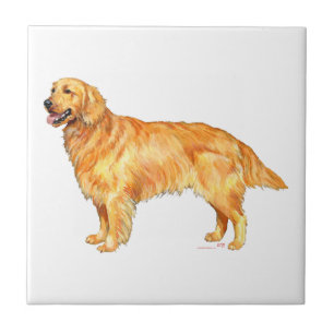 Golden Retriever Tegeltje