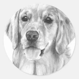 Golden Retriever Tekening Stickers