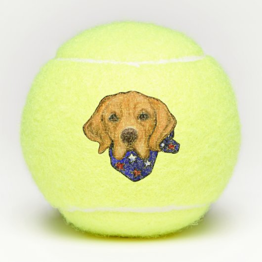 Golden Retriever Tennisballen (Voorkant)