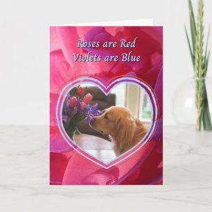 Golden Retriever The Dog is mijn favoriete Valenti Kaart