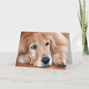 golden retriever-thinking of you kaart