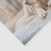 Golden Retriever Tissue Paper Tissuepapier (Detail)