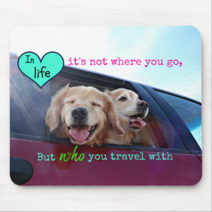 Golden Retriever Travel Friendship Muismat