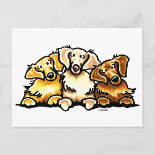 Golden Retriever Trio Briefkaart