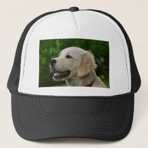 Golden Retriever Trucker Pet