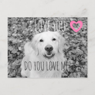 Golden Retriever VALENTIJN Briefkaart