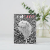 Golden Retriever VALENTIJNSDAG Briefkaart (Staand voorkant)