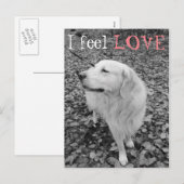 Golden Retriever VALENTIJNSDAG Briefkaart (Voorkant / Achterkant)