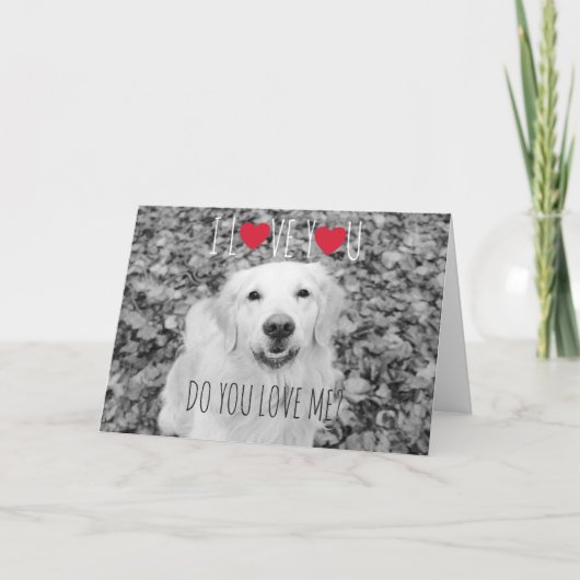 Golden retriever VALENTINE'S DAY Carte de voeux (Devant)