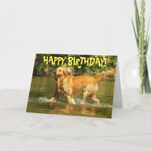 Golden Retriever verjaardagskaart Kaart