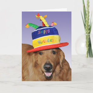 Golden Retriever verjaardagstaart pet kaart