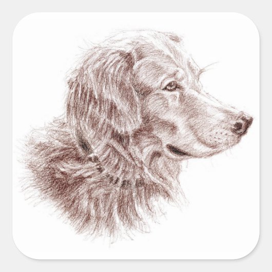 Golden Retriever Vierkante Sticker (Voorkant)