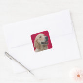 Golden Retriever Vierkante Sticker (Envelop)