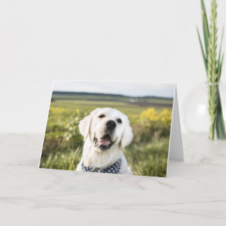 Golden Retriever "Vous me faites sourire" Carte de