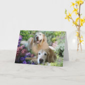 Golden Retriever Vrienden Kaart (Gele Bloem)