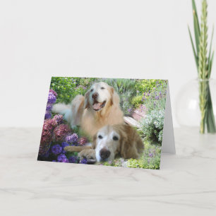 Golden Retriever Vrienden Kaart