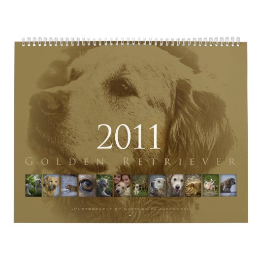 Golden Retriever - Wall Agenda 2011 Kalender (Hoes)