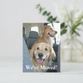 Golden Retriever We hebben een adreswijziging verp Aankondigingskaart (Staand voorkant)