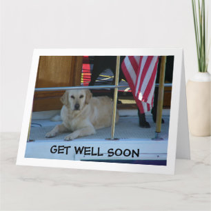 GOLDEN RETRIEVER ZEGT ALSJEBLIEFT SNEL BETER TE WO KAART