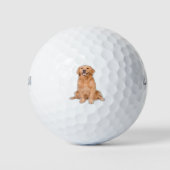 Golden Retriever Zitten - Schattig design Golfballen (Voorkant)