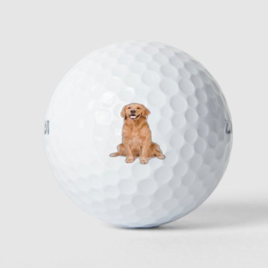 Golden Retriever Zitten - Schattig design Golfballen (Voorkant)