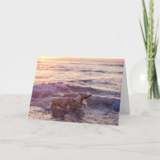 Golden Retrievers Blank Photo Wenskaart Kaart