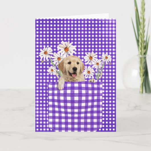 Golden Retrievers in Gingham Pocket Card Kaart (Voorkant)
