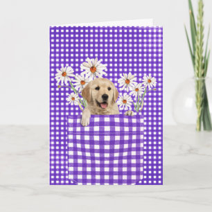 Golden Retrievers in Gingham Pocket Card Kaart